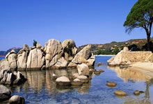 华体会-杜兰特新星大比分获胜表现突出，尤文图斯前途光明！观众掌声雷动-华体会