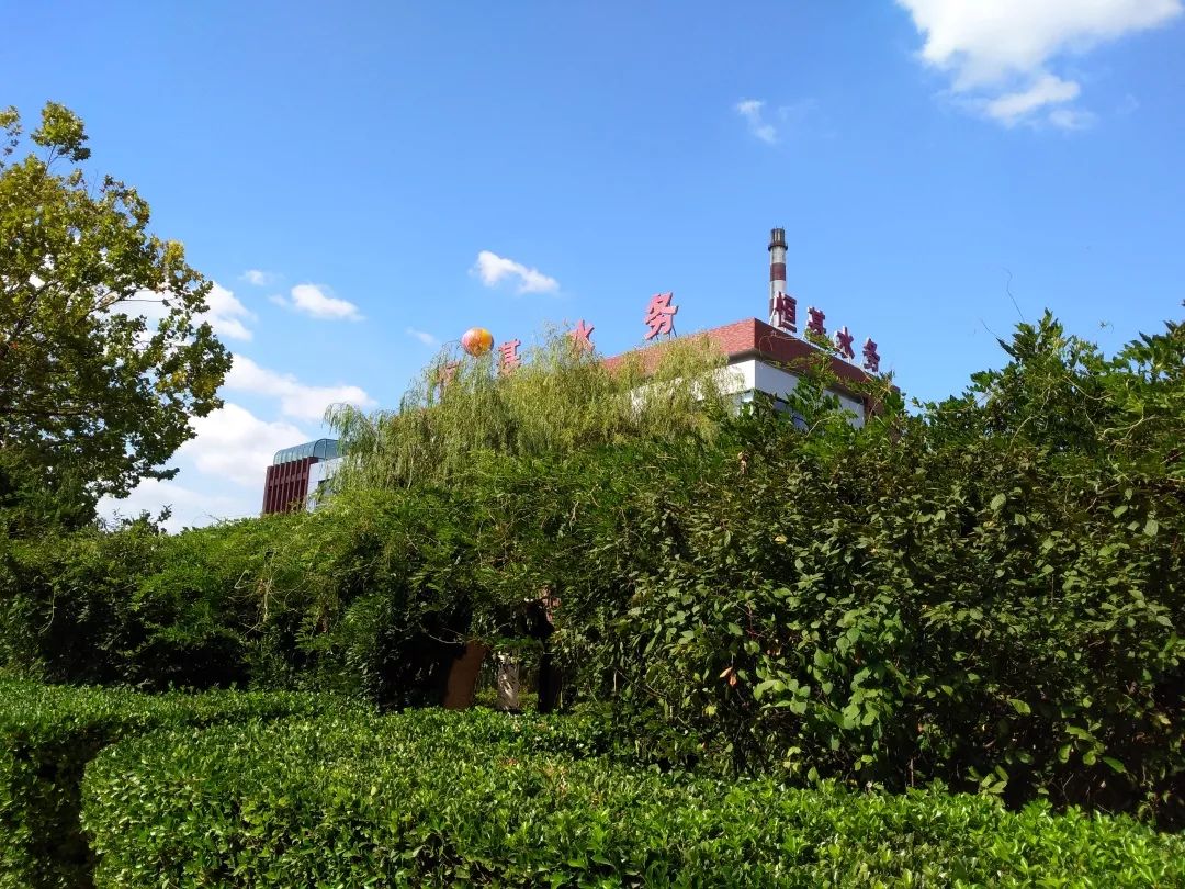 山东男篮训练开放日；冲刺阶段更衣室发声引欢呼；法国杯在即；球探报告显示潜力的简单介绍